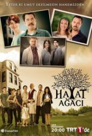 Дерево жизни