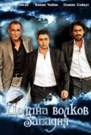Долина волков: Западня смотреть