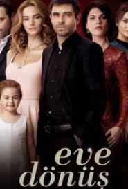 Возвращение домой